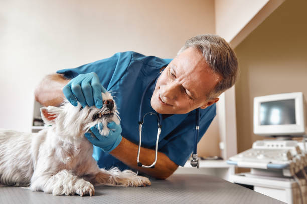  Frisco City, AL Emergency Dentist Pros